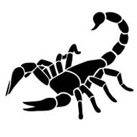 Scorpio